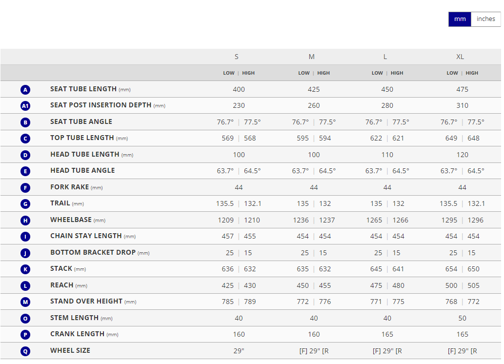 Giant Reign E+ 3 25km/h - Raw Aluminum