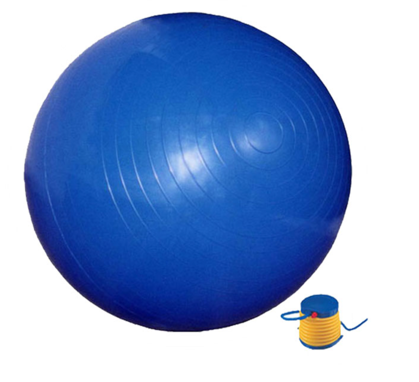 65cm Swiss / Gym Ball (includes pump )
