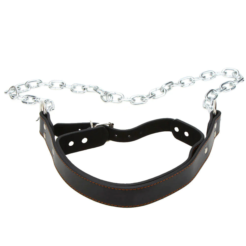 Leather Head Harness