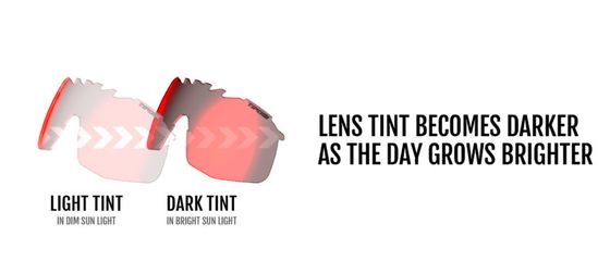 Tifosi SLEDGE Lite CRFO Glasses - Black