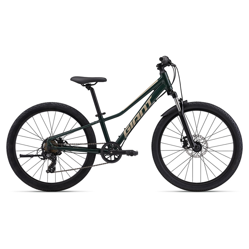 Giant Talon 24 Disc Trekking Green