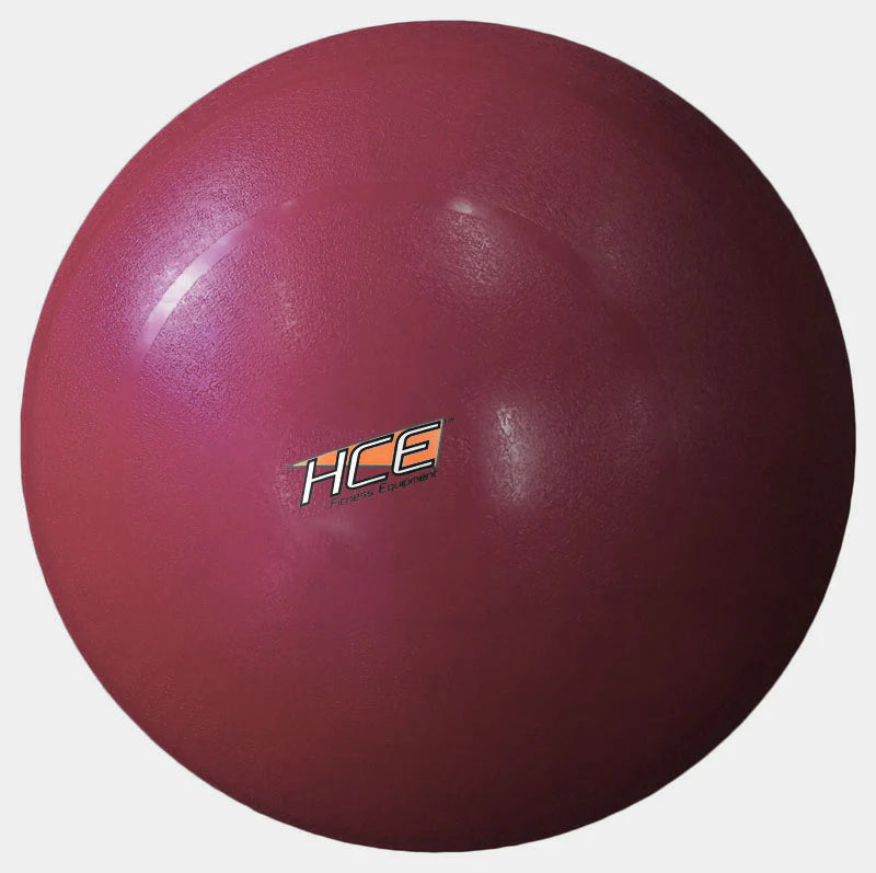55cm Swiss / Gym Ball (includes pump )
