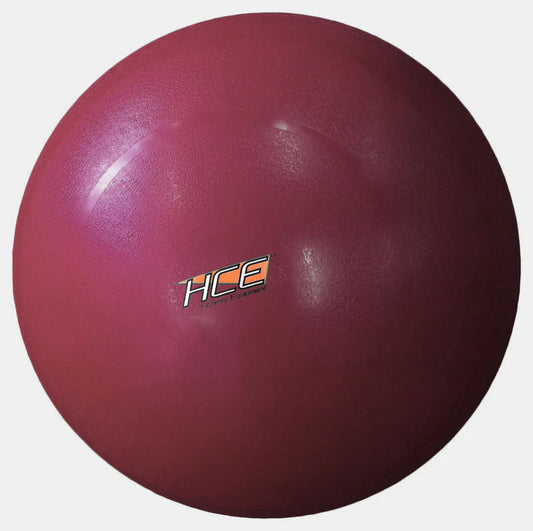 55cm Swiss / Gym Ball (includes pump )