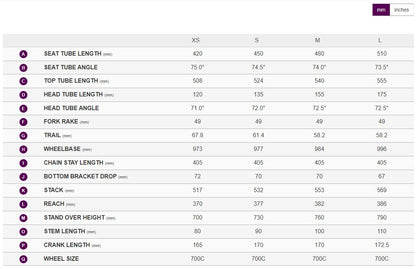 Liv 2024 Langma Advanced SL 0 Disc - Raw Carbon