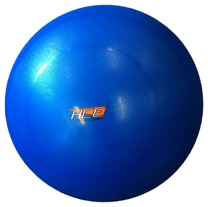 65cm Swiss / Gym Ball (includes pump )