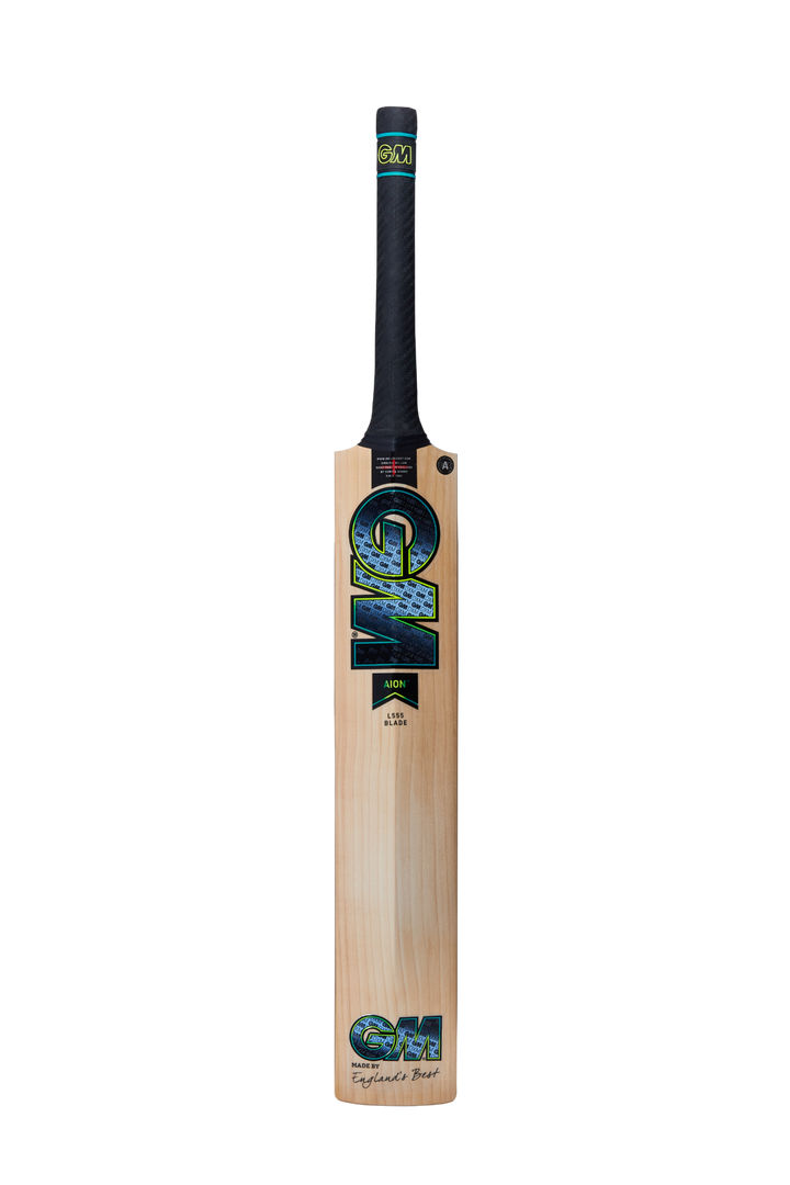 GM AION DXM Signature TTNOW Cricket Bat