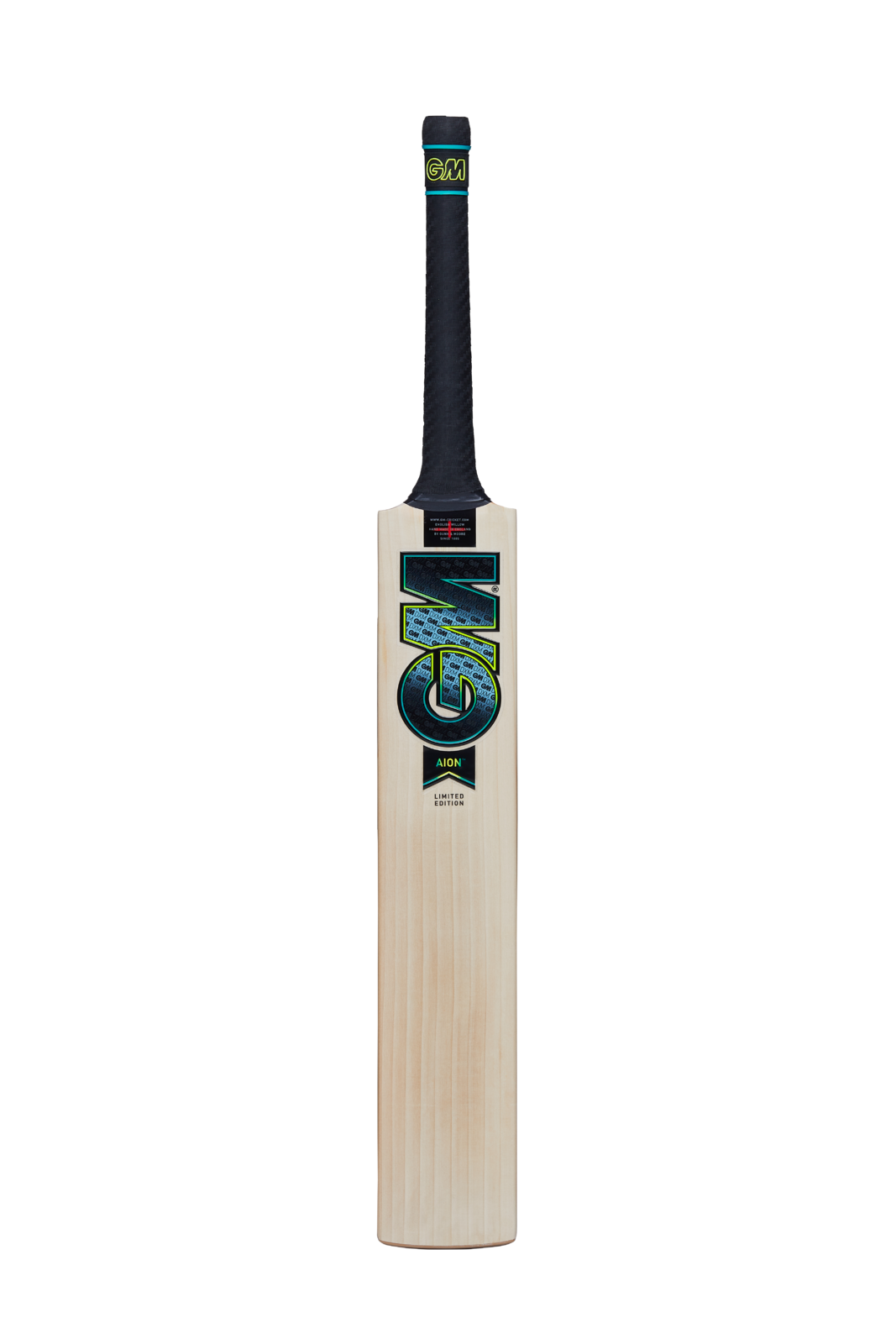 GM AION DXM 606 TTNOW Cricket Bat