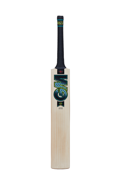 GM AION DXM 606 TTNOW Cricket Bat