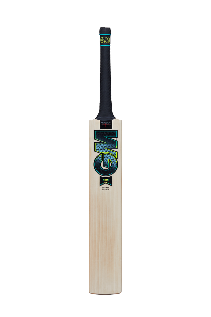 GM AION DXM Signature TTNOW Cricket Bat