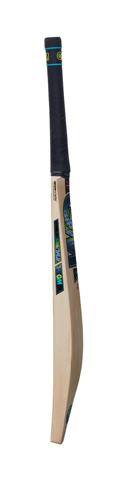 GM AION DXM 606 TTNOW Cricket Bat