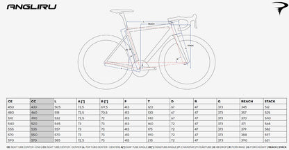 Pinarello Angliru 105 Disc Bike - Blue Steel