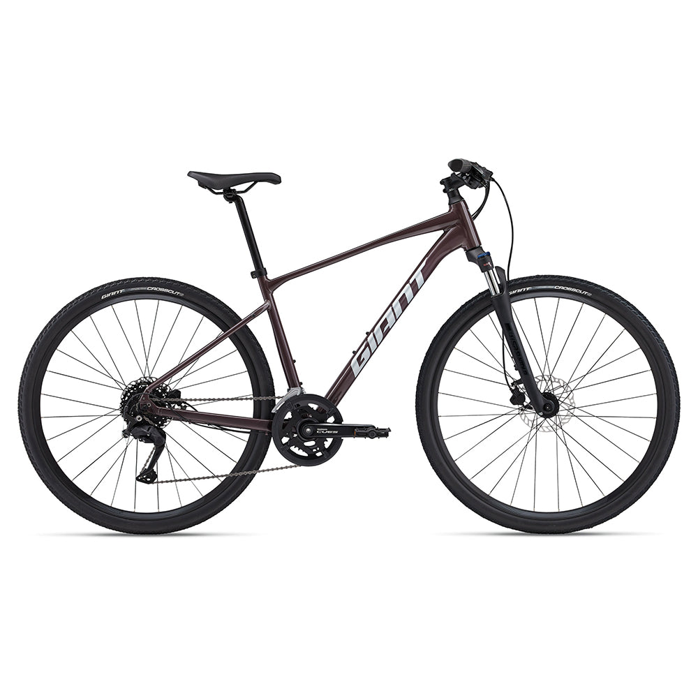 Giant 2024 Roam 2 Disc - Charcoal Plum