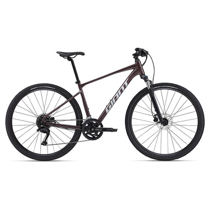 Giant 2024 Roam 2 Disc - Charcoal Plum