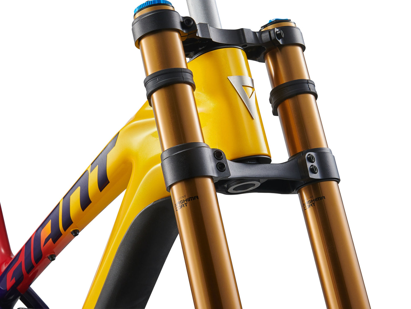 Giant 2024 Glory Advanced Legends Edition Frameset