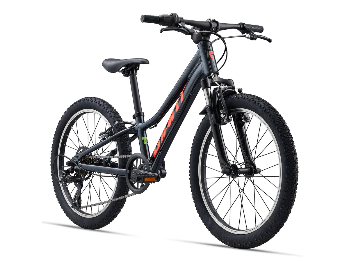 Giant 2027 Talon 20 Kids Bike - Black Diamond