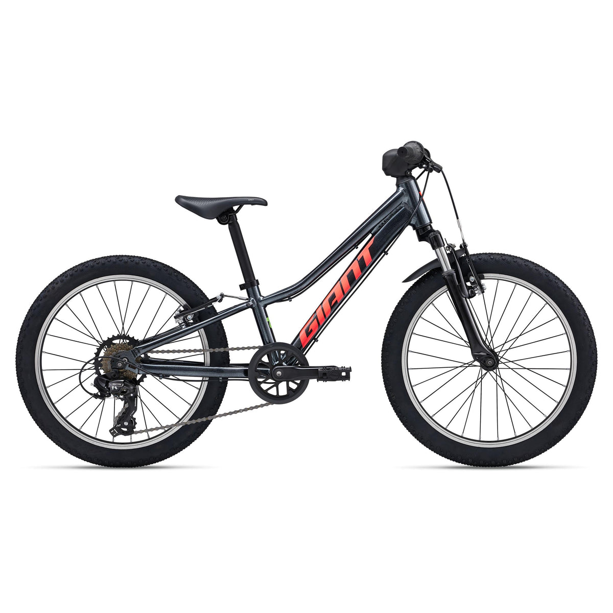 Giant 2027 Talon 20 Kids Bike - Black Diamond