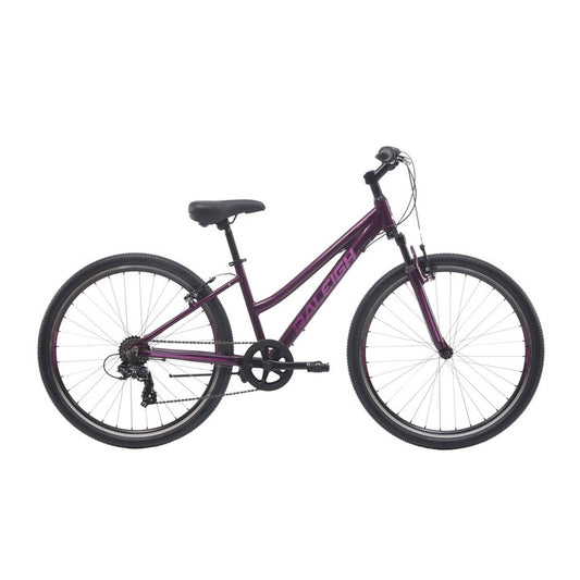 Raleigh Allure 27.1 Women's - Purple