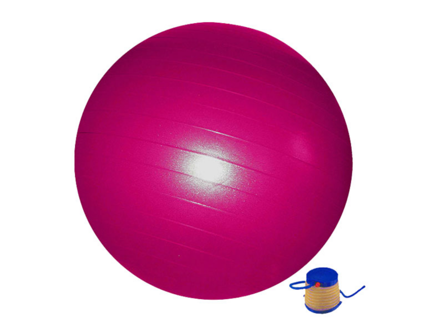 55cm Swiss / Gym Ball (includes pump )