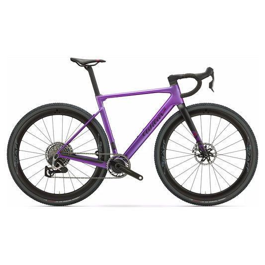 Wilier Rave SLR - V9 Matte Purple