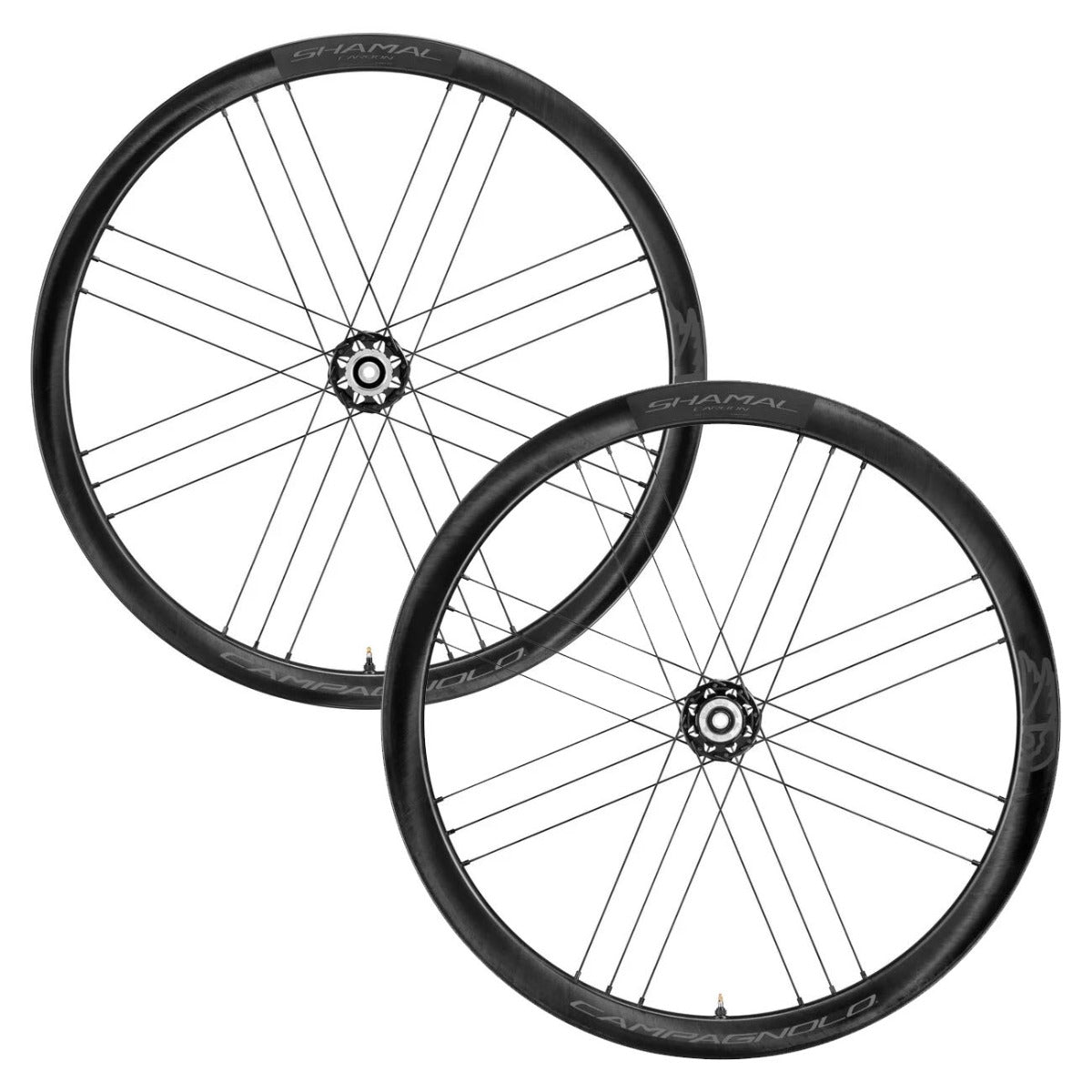 Campagnolo Shamal Carbon Disk Wheelset