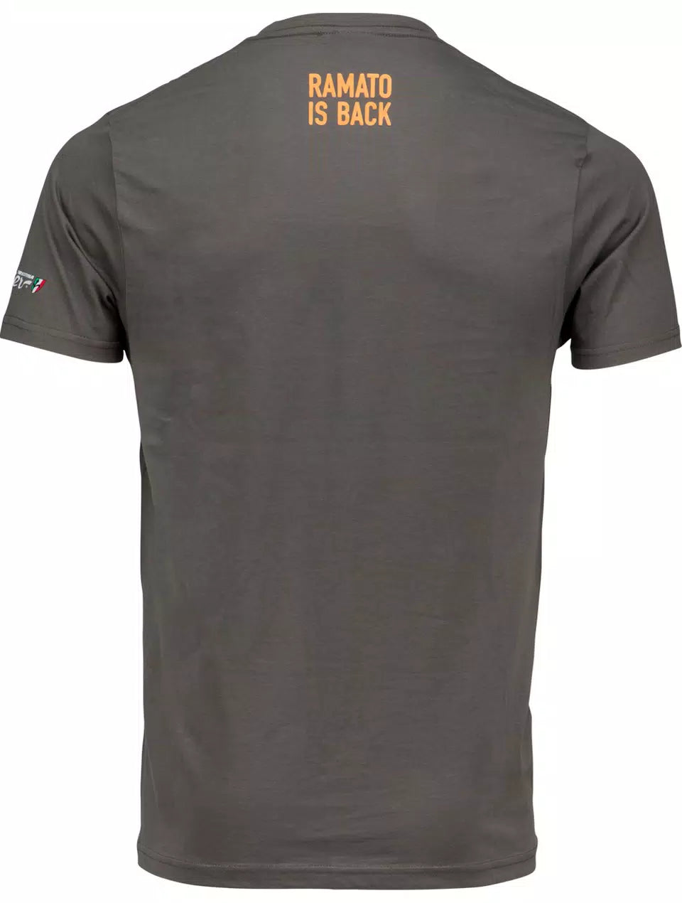 Wilier Clothing T-Shirt Slang - Grey